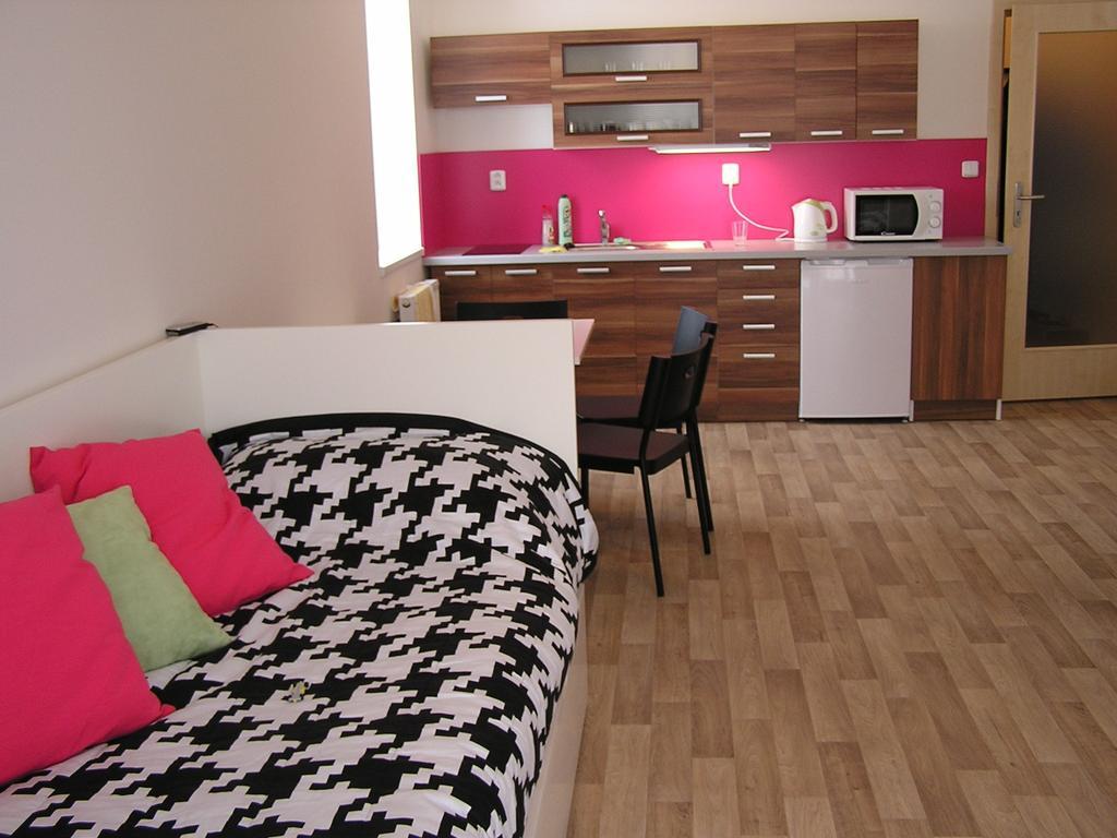 Apartment Trebon Room photo