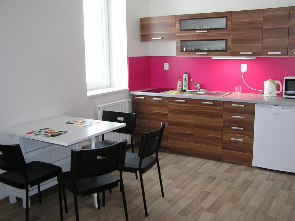 Apartment Trebon Room photo
